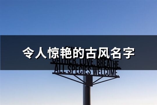 令人惊艳的古风名字(优选207个)