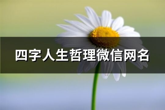 四字人生哲理微信网名(420个)