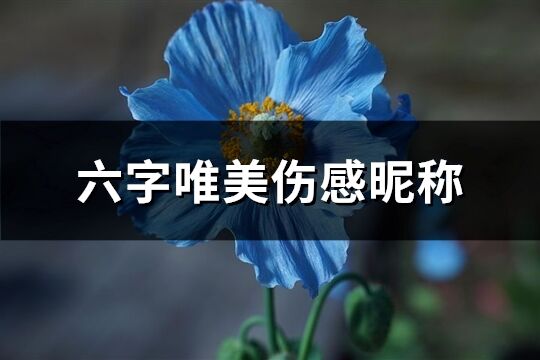 六字唯美伤感昵称(共190个)