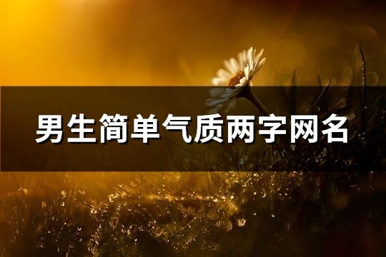 男生简单气质两字网名(共720个)