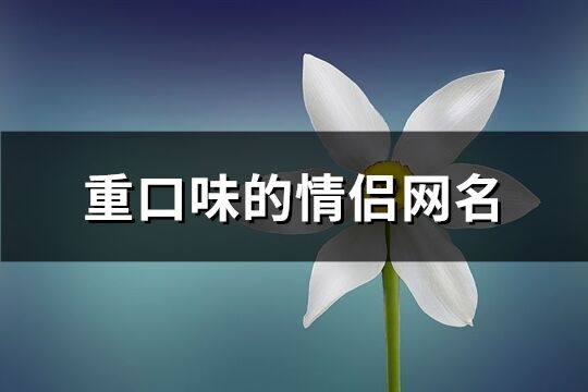 重口味的情侣网名(共62个)