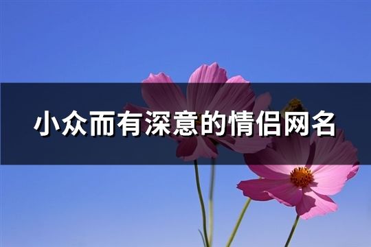 小众而有深意的情侣网名(精选125个)