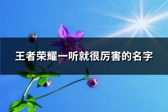 王者荣耀一听就很厉害的名字(精选348个)