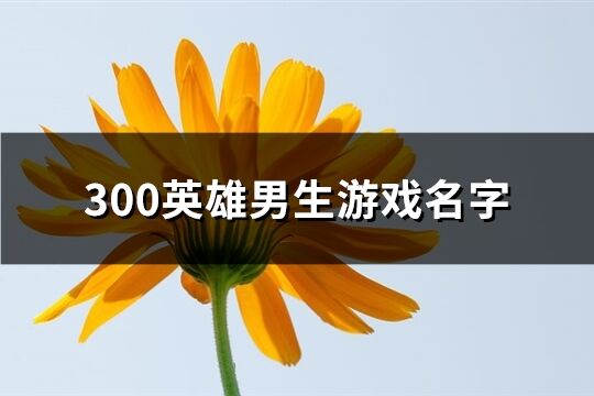 300英雄男生游戏名字(精选118个)