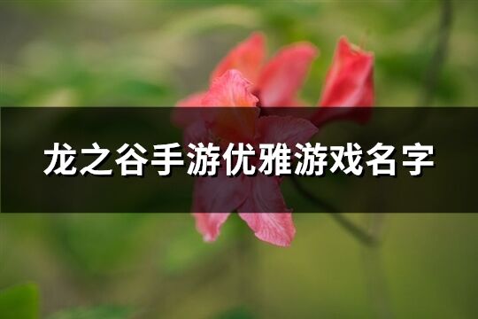 龙之谷手游优雅游戏名字(共317个)