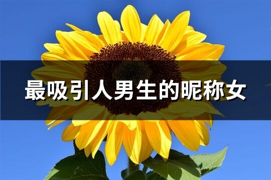 最吸引人男生的昵称女(优选190个)