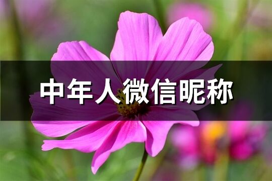 中年人微信昵称(精选386个)