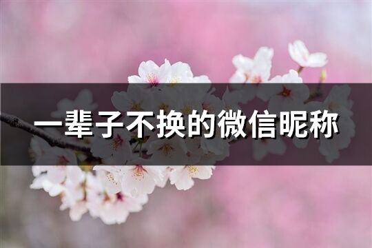 一辈子不换的微信昵称(共670个)