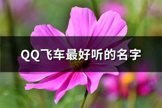 QQ飞车最好听的名字(共359个)