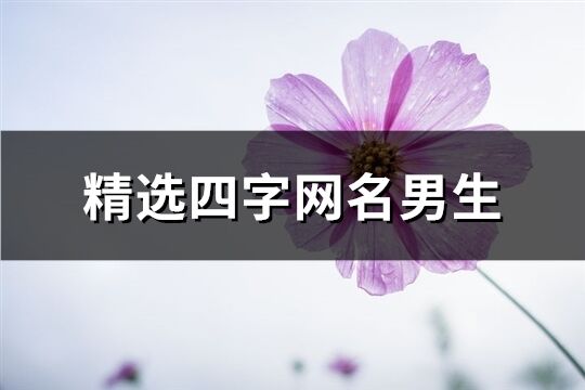 精选四字网名男生(共693个)