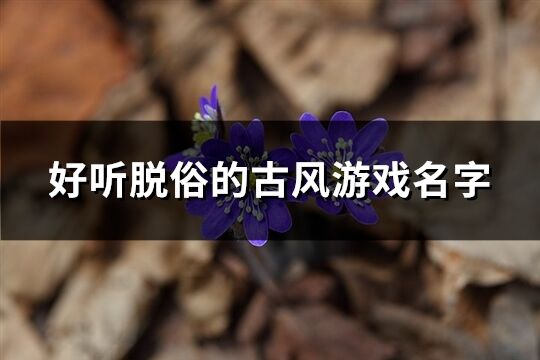 好听脱俗的古风游戏名字(精选416个)