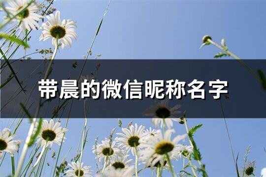 带晨的微信昵称名字(优选77个)