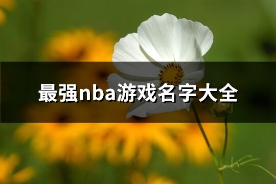 最强nba游戏名字大全(精选365个)