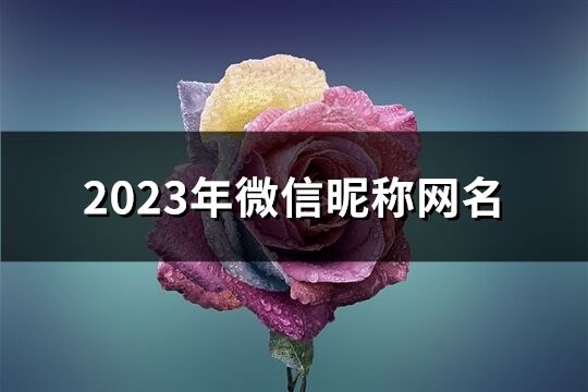 2023年微信昵称网名(共2435个)