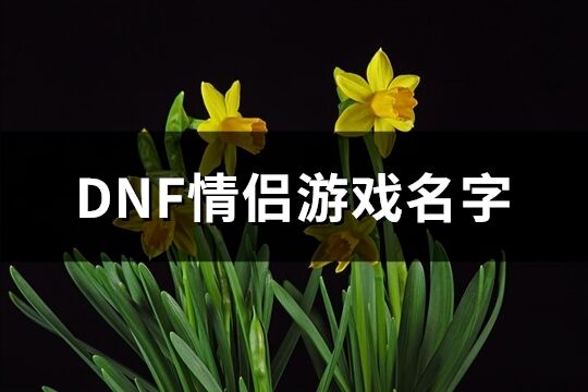 DNF情侣游戏名字(147个)