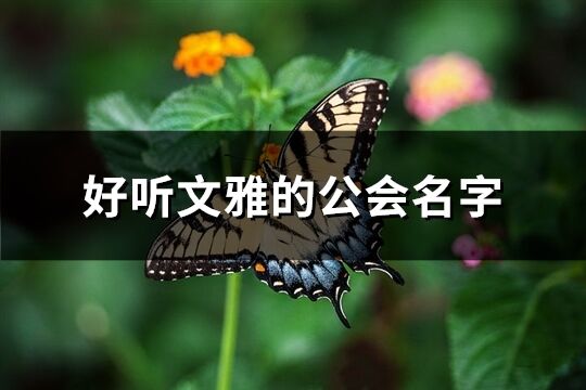 好听文雅的公会名字(428个)