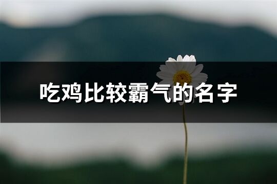 吃鸡比较霸气的名字(精选473个)