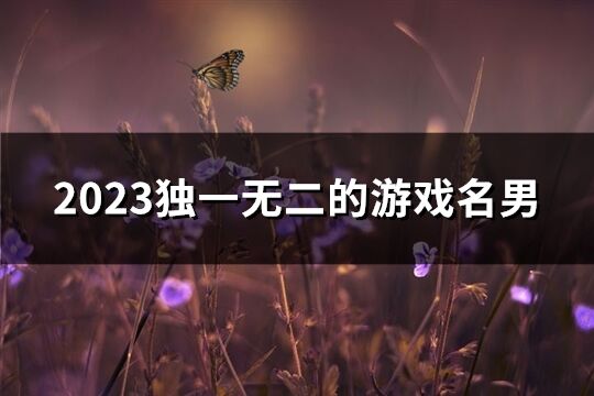 2023独一无二的游戏名男(优选376个)