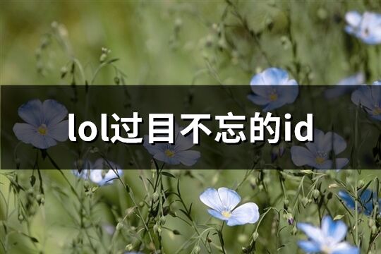 lol过目不忘的id(共170个)