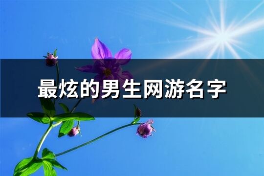 最炫的男生网游名字(共674个)