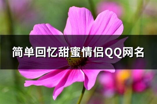 简单回忆甜蜜情侣QQ网名(优选350个)