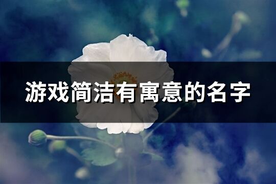 游戏简洁有寓意的名字(558个)