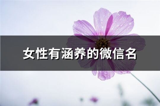 女性有涵养的微信名(优选256个)