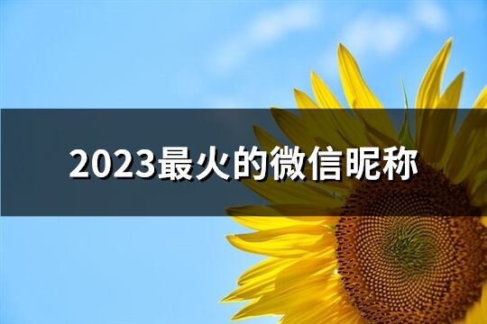 2023最火的微信昵称(精选260个)