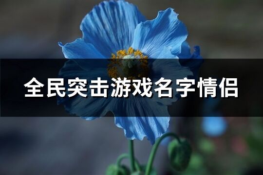 全民突击游戏名字情侣(优选115个)