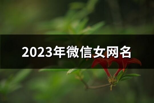 2023年微信女网名(1623个)