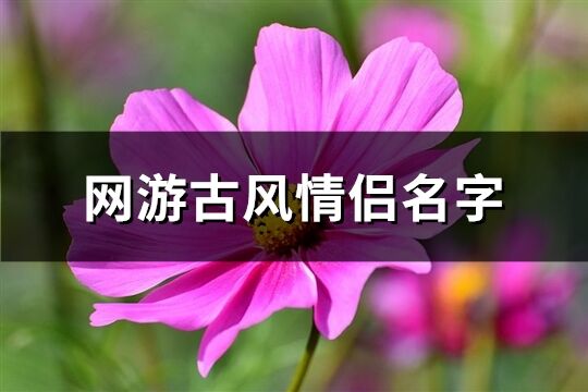 网游古风情侣名字(精选105个)