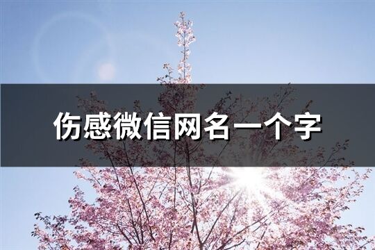 伤感微信网名一个字(共347个)