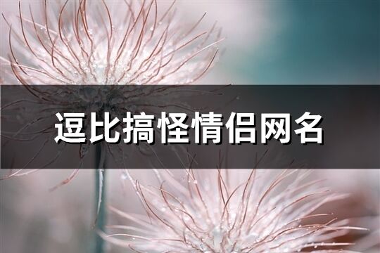 逗比搞怪情侣网名(共176个)