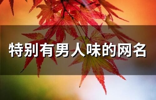 特别有男人味的网名(精选72个)