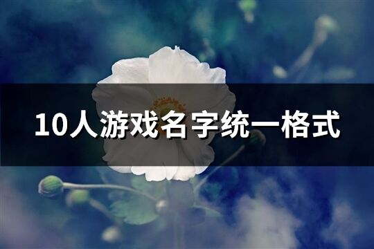 10人游戏名字统一格式(共82个)