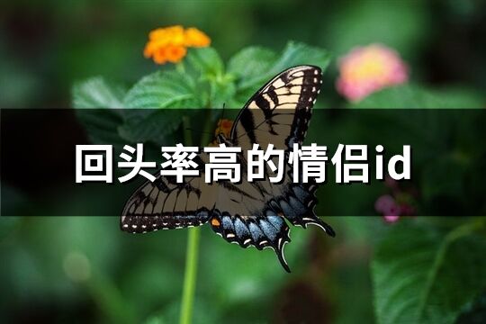 回头率高的情侣id(共167个)