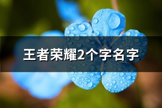 王者荣耀2个字名字(共933个)