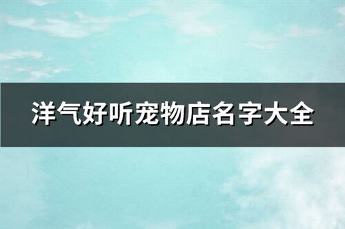 洋气好听宠物店名字大全(146个)