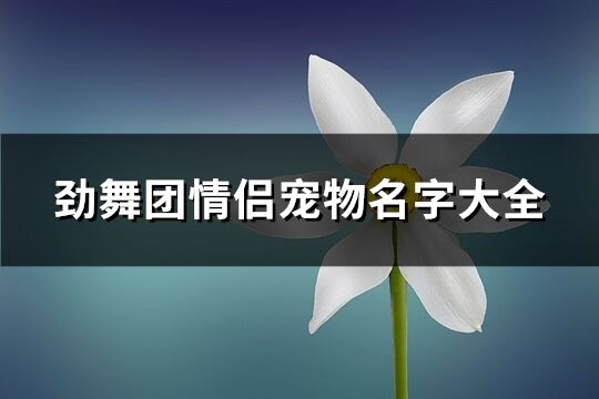 劲舞团情侣宠物名字大全(精选325个)