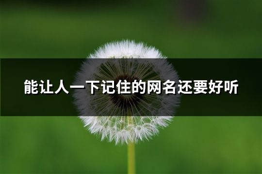 能让人一下记住的网名还要好听(36个)