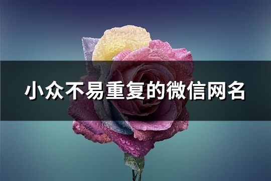 小众不易重复的微信网名(281个)