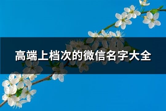 高端上档次的微信名字大全(精选1175个)