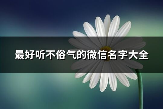 最好听不俗气的微信名字大全(精选732个)