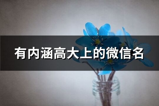 有内涵高大上的微信名(557个)