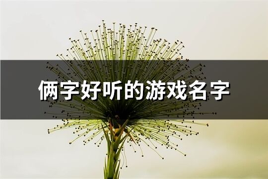 俩字好听的游戏名字(共1435个)