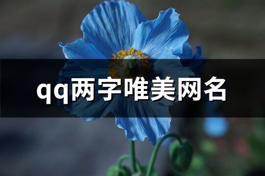 qq两字唯美网名(690个)