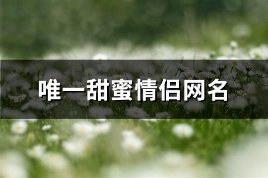 唯一甜蜜情侣网名(共506个)