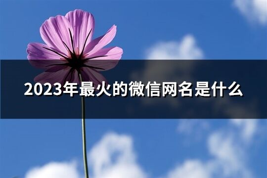 2023年最火的微信网名是什么(共1079个)