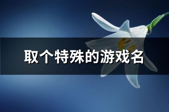 取个特殊的游戏名(共495个)