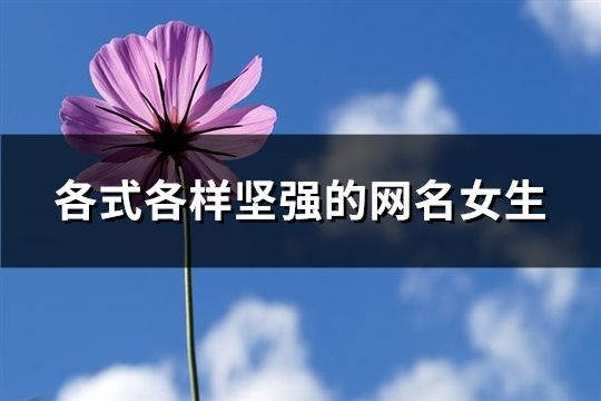 各式各样坚强的网名女生(共176个)